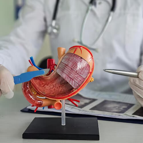 Internal Medicine at Panacea Hospital, Ranchi offers the best medical care with top physicians, advanced diagnostics, and affordable services in Jharkhand.