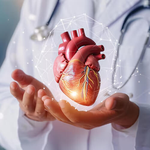 Cardiology at Panacea Hospital, Ranchi offers the best heart care with top cardiologists, advanced treatments, and affordable services in Jharkhand.